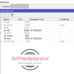 MikroTik ip service